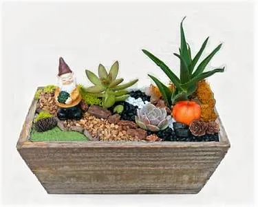 Grateful Gnome Planter Home — Painting