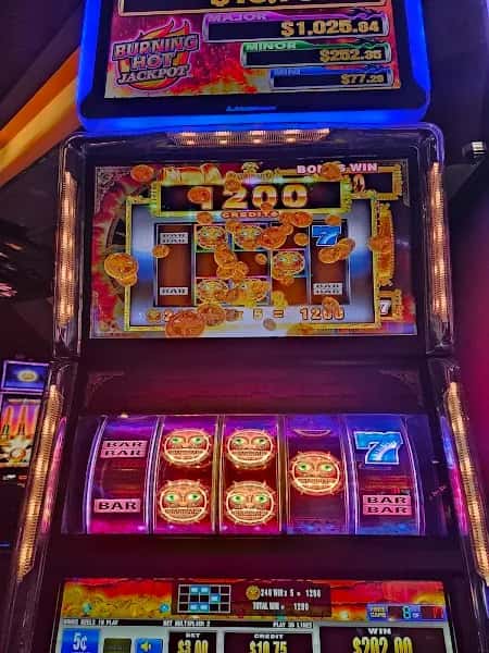 Pure Casino - Yellowhead — venue photo 4