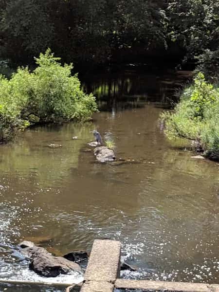 Hopewell Valley Golf Course — venue photo 2