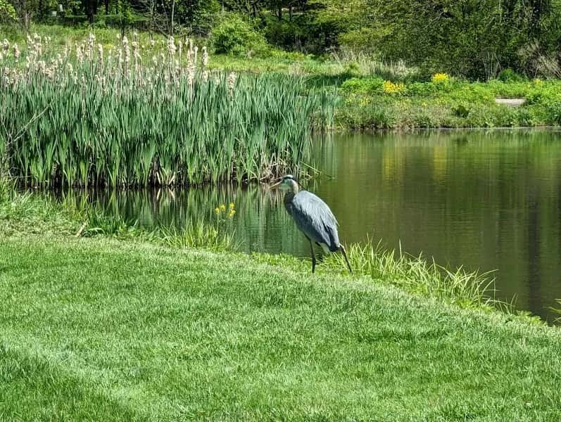Hopewell Valley Golf Course — venue photo 5