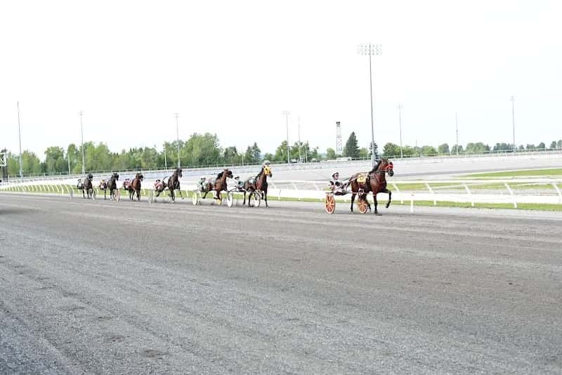 Kawartha Downs and casino — venue photo 4