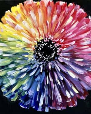 Rainbow Zinnia