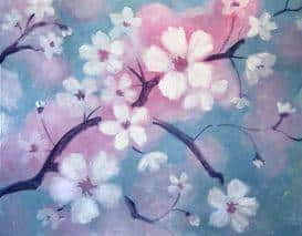Cherry Blossoms