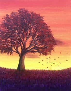 Indian Summer Breeze