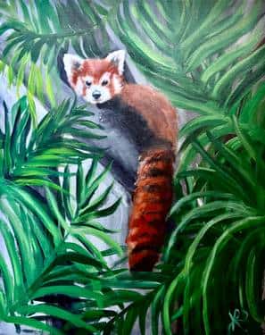 Red Panda