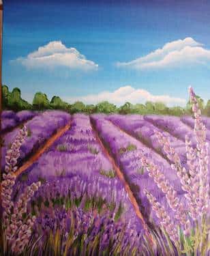 Lavender Farm