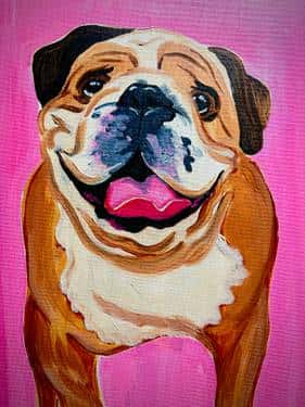 Paint your Pets