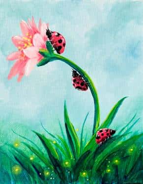 Lady Bug Daisy 