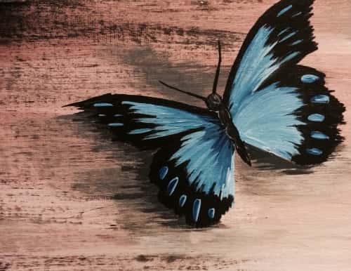 Cool Blue Butterfly