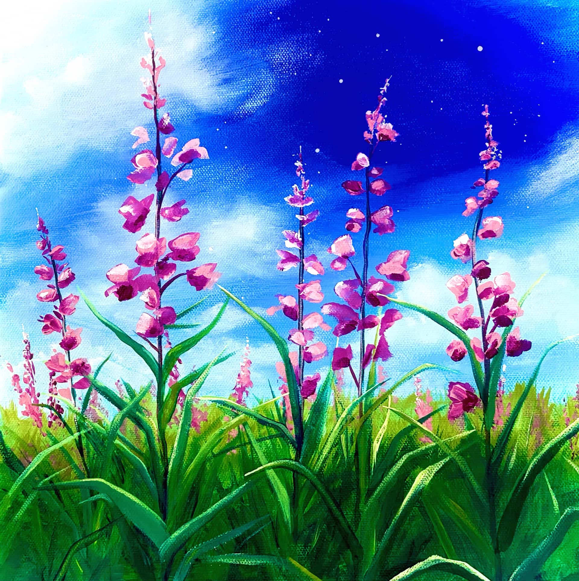 Fireweed Fantasia 