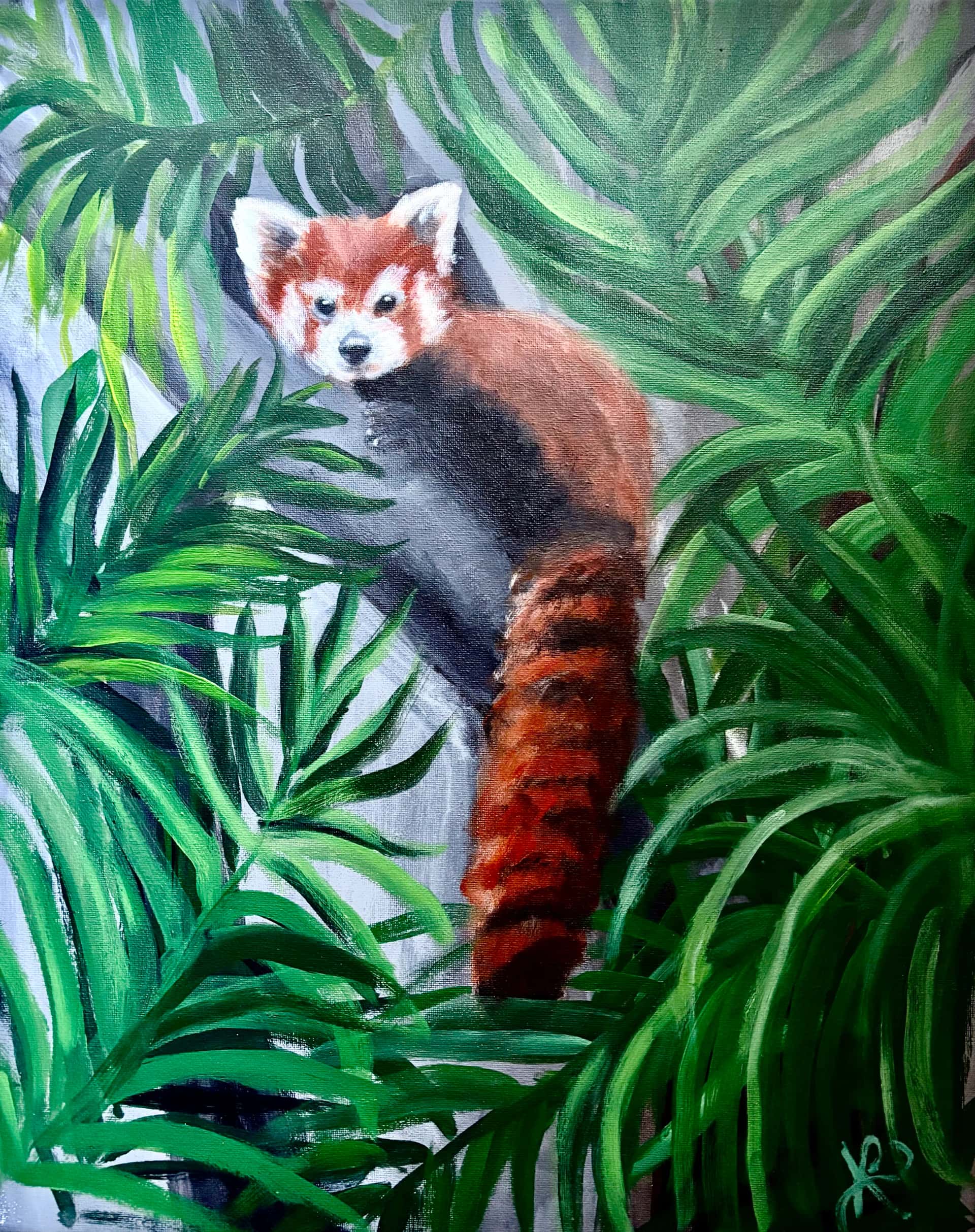 Red Panda