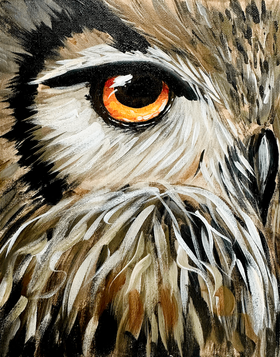 Autumn Owl Gaze 
