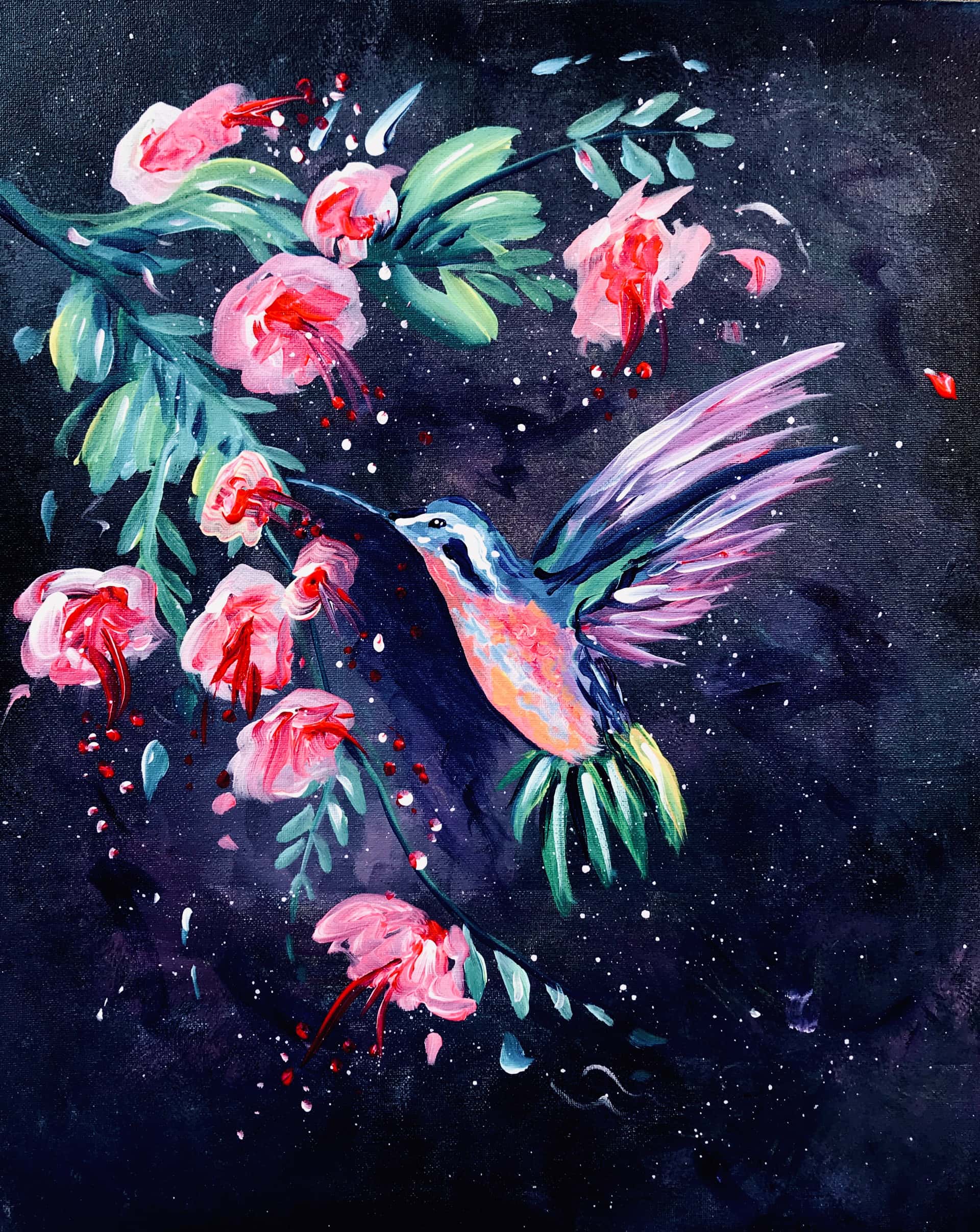 Hummingbird Splash
