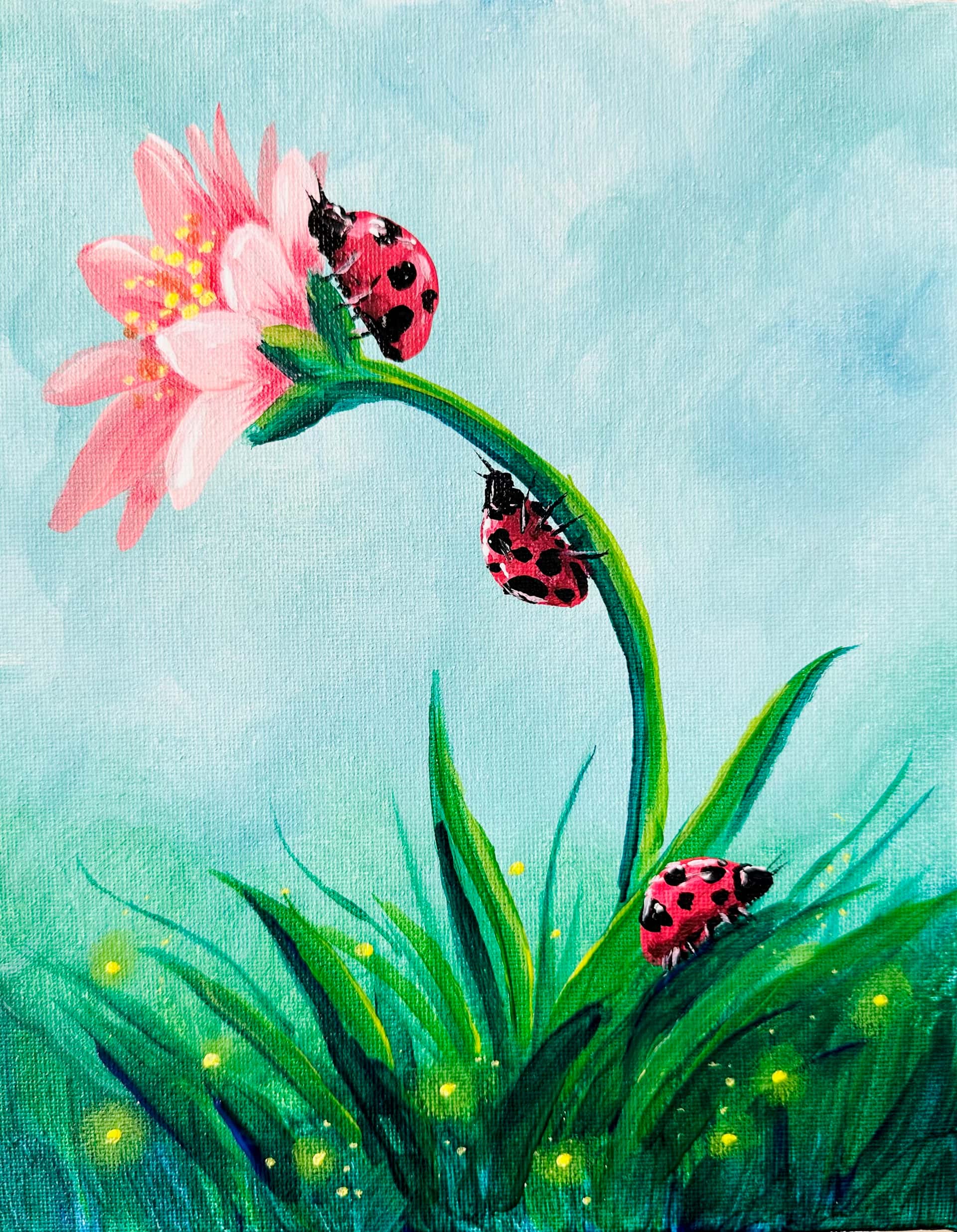 Lady Bug Daisy 