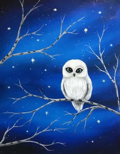 Starlight Owl