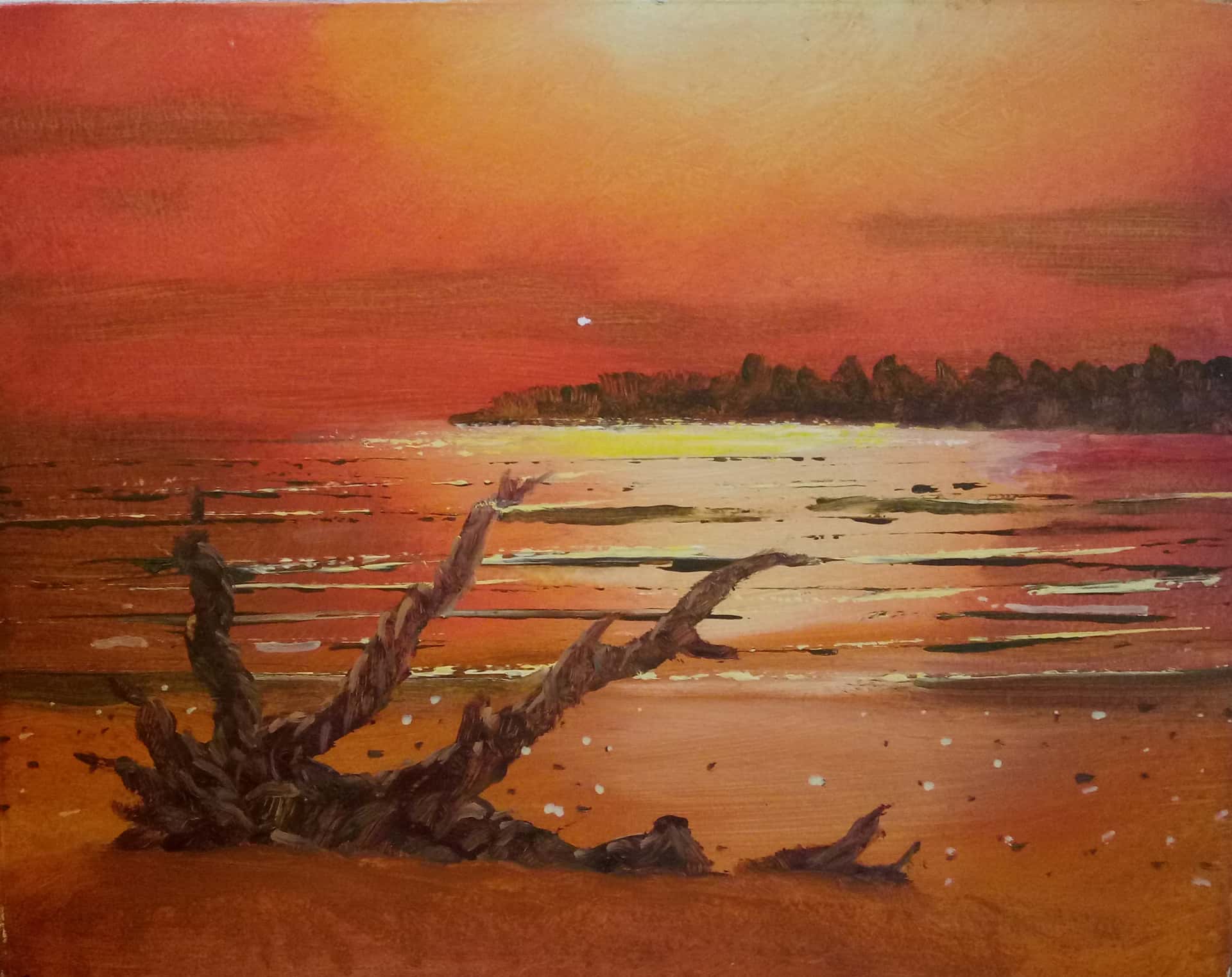 Driftwood Orange 1