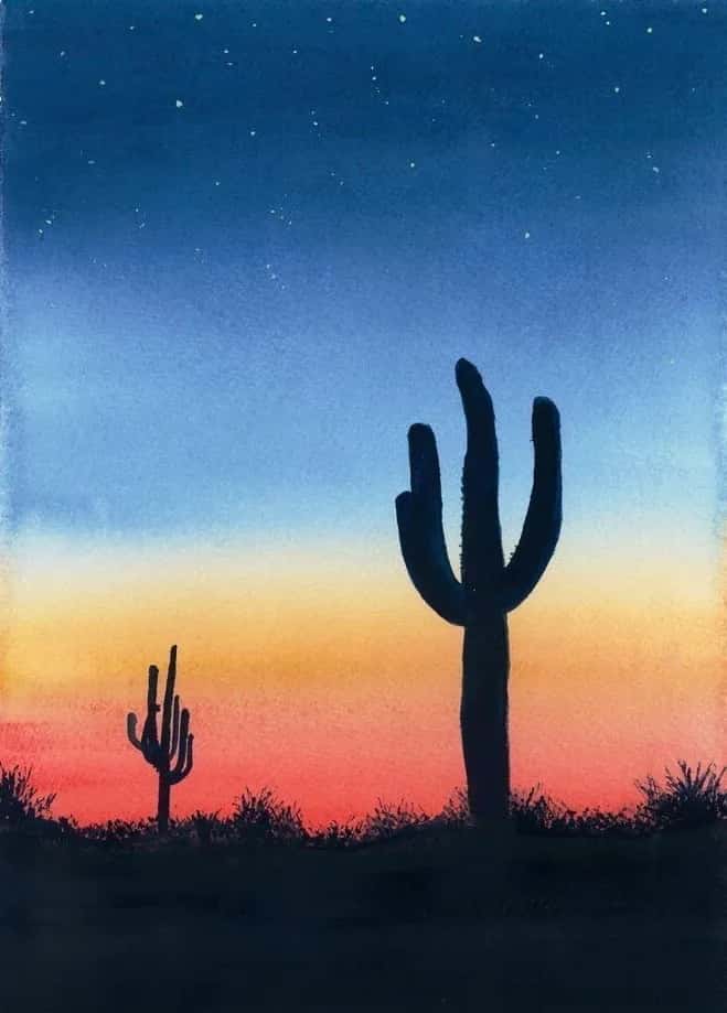 Cactus sunset 2