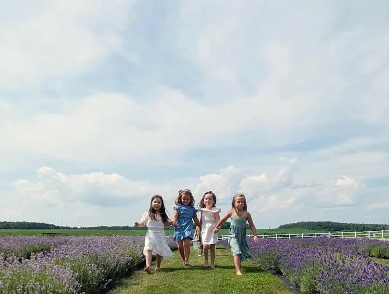 Lavande Braydale Lavender Farm — venue photo
