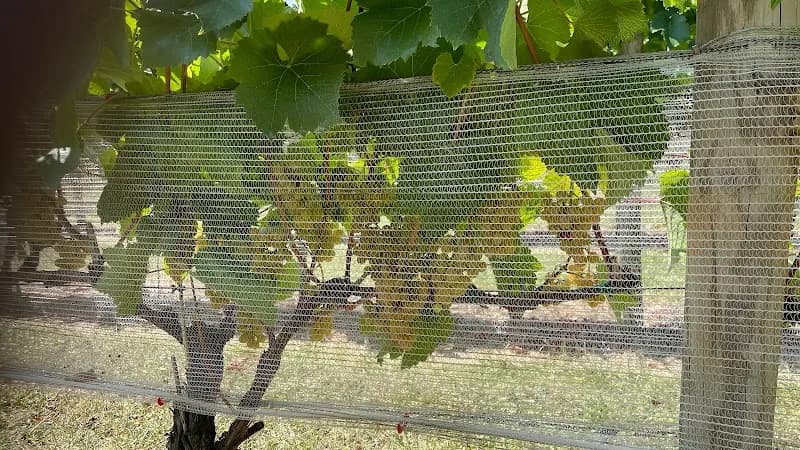 Two Twisted Posts Winery — venue photo