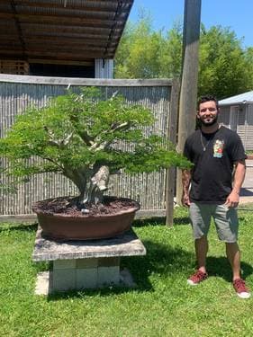 Fabio Lopes shop logo