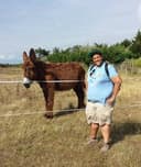 Heather Kirkpatrick, Paint Nite artist in Richmond