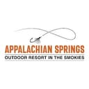 Appalachian Springs Outdoor Resort, Paint Nite artist in PIGEON FORGE