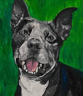 Paint Nite Tampa - PaintNite artist profile image
