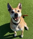 James, Paint Nite artist in Loveland