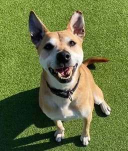 Jim James profile photo