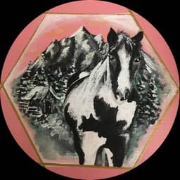 Noma Traquina profile photo