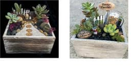 Beer or Wine thumbnail