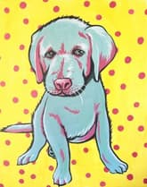 Paint Your Pet Pop Art thumbnail