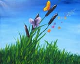 Butterflies Are Free thumbnail