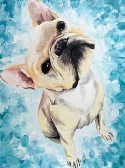 Paint Your Pet V thumbnail