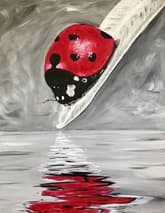 Ladybug Reflection thumbnail