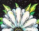 Beautiful White Daisy thumbnail view