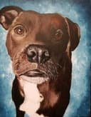 Paint Your Pet VI thumbnail view