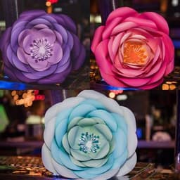 Paper Flower II thumbnail