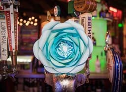 Paper Flower I thumbnail