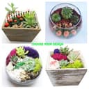 Box or Bowl... Fall or Not... thumbnail view