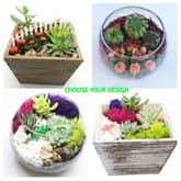 Box or Bowl... Fall or Not... thumbnail