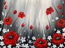 Field of Red Poppies thumbnail view