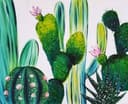 Summer Cacti thumbnail view