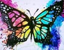 Born This Way Butterfly thumbnail view