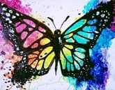 Born This Way Butterfly thumbnail
