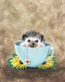 Take The Hedge Off thumbnail view