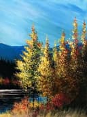 Autumn Trees Lakeside thumbnail view