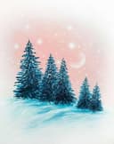 Snow Sparkle Spruces thumbnail view