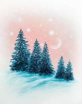 Snow Sparkle Spruces thumbnail