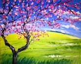 Spring Cherry Blossom thumbnail
